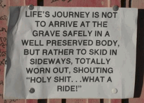 Lifes Journey