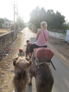 camel safari