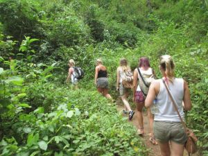 Trekking in Chiang Mai