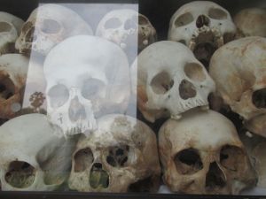 Skulls from the Killing Fields