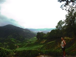 Cameron Highlands tea plantations