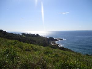 Royal National Park, Sydney
