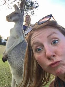 Marsupial love