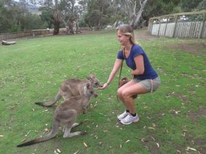Lyvette portraying how comfortable one can be feeding kangaroos...