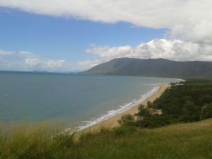 The road to Cape Tribulation