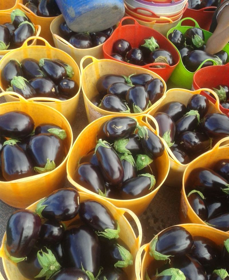 The joys of eggplants