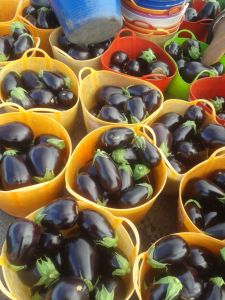 The joys of eggplants