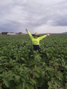 Farm work