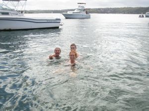 Sharky waters
