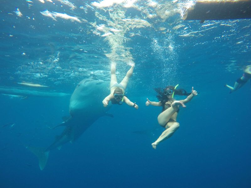 Shortly before Gemma's flailing limbs ensured I became engulfed...