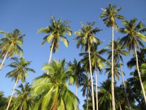 Philippines