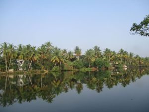 Kerala backwaters