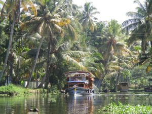 Kerala backwaters