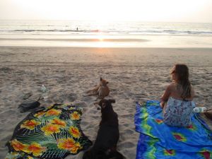 Itch, Rex, Lyvette and the sunset
