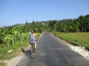 Havelock island