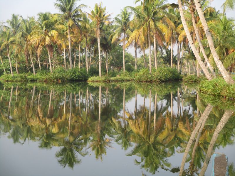 Backwaters of Kerala
