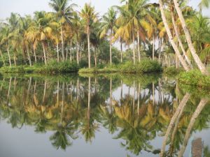 Backwaters of Kerala