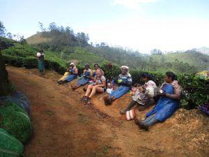 munnar me