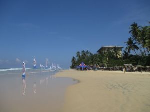 Midigama