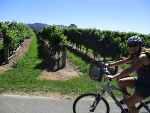 Marlborough Wine Trail