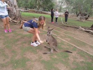 Kangaroo Love