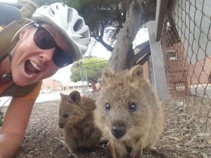 Quokka selfie
