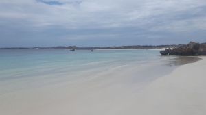 Rottnest Island