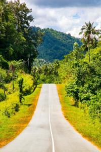 Borneo