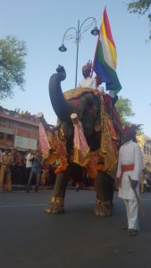 Elephant at Gangaur Festival