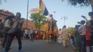 Elephant at Gangaur Festival