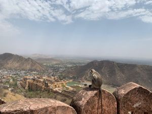 Jaipur