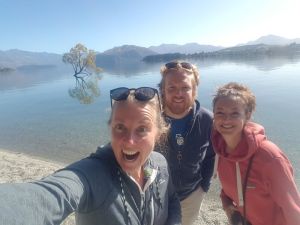 That Wanaka Tree