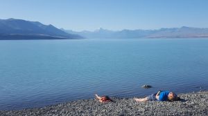 Nap time at Lake Pukaki