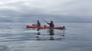 Kayaking